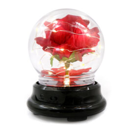 Eternal Real Rose Dried Flowers, Perfect Mother’s Day Gift for Home Decor